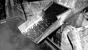 カリフォルニアの夢