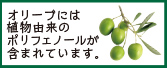 オリーブには植物由来のポリフェノールが含まれています。