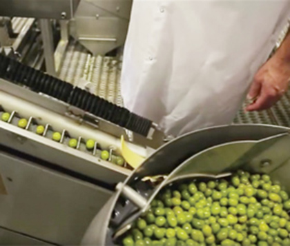 どのようにして作られているか