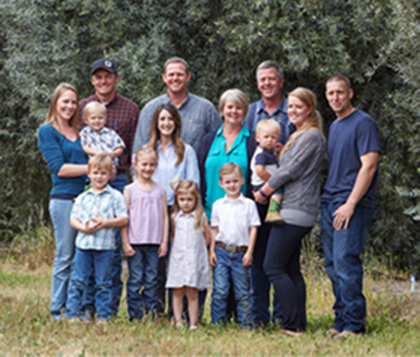 オリーブ産業について